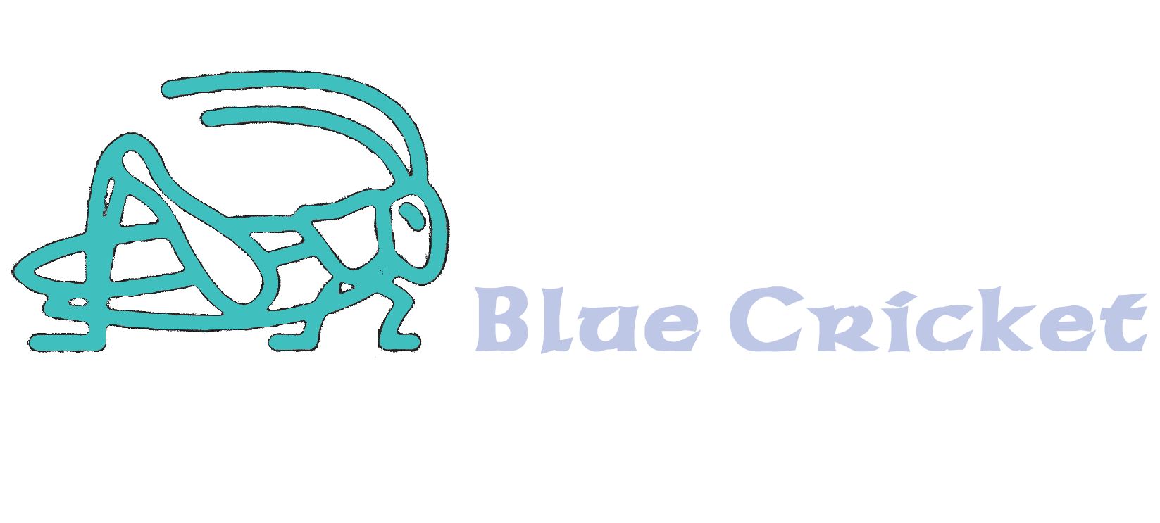 Blue Cricket Website Design